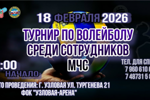 Турнир по волейболу среди сотрудников МЧС