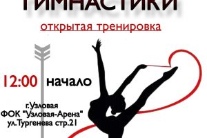 День гимнастики (открытая тренировка)